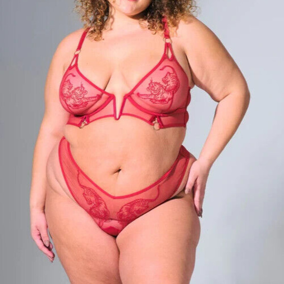 Thistle and Spire Tigris Thong Womens 3X Crimson Tigers Sheer Panties Revolve - Picture 2 of 9